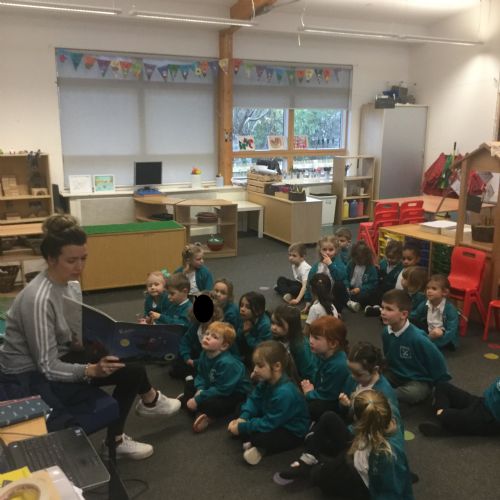 Mystery Reader