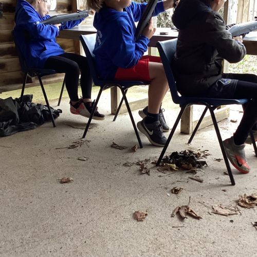 Rifle Shooting