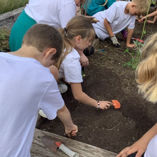 Gardening