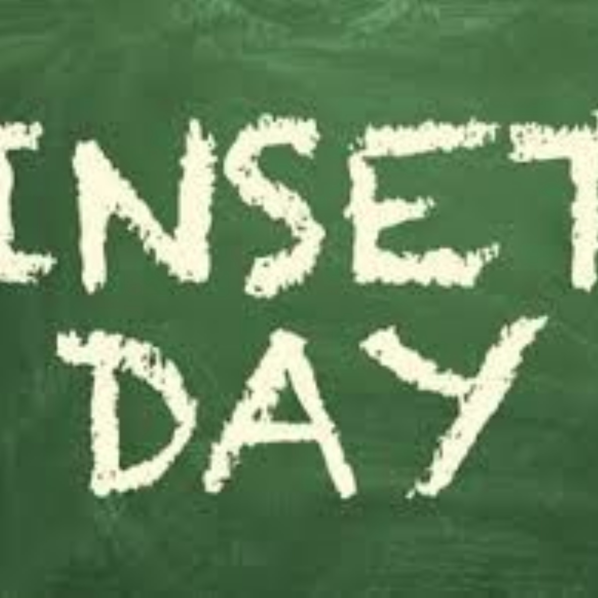 St Peter's Primary School INSET DAY Monday 31 October 2022